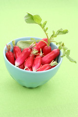 radish