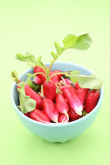 radish