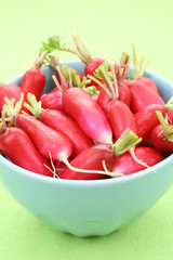 radish