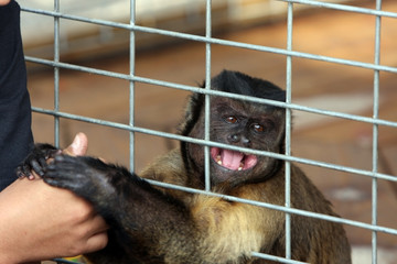 Reaching For A Friend