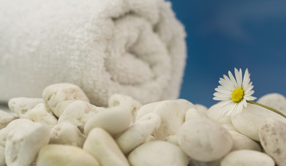 White towel and daisy on beach