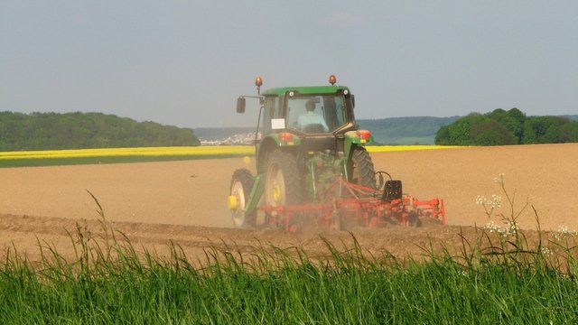 Travaux des champs: la herse