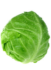 Cabbage fresh