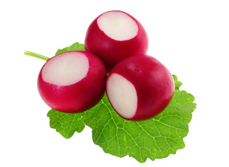 Red radish vegetable