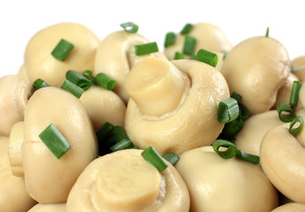 Mushroom champignon group