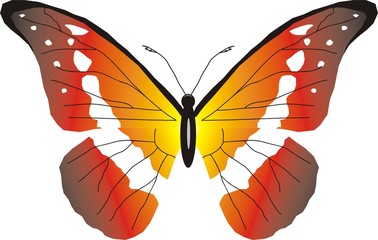red butterfly