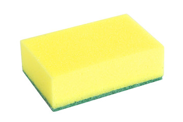 Sponge in Yellow and Green Isolated