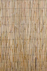 cloture de bambou