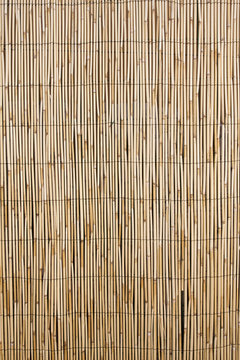 cloture de bambou