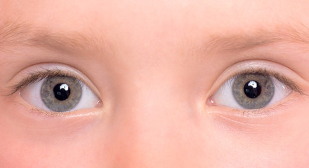 Fototapeta premium Eyes close-up
