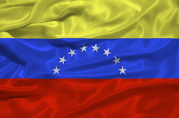 Venezuela Flag 3