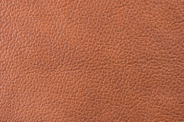 Fototapeta premium Natural leather texture