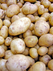 Fresh raw Potatoes