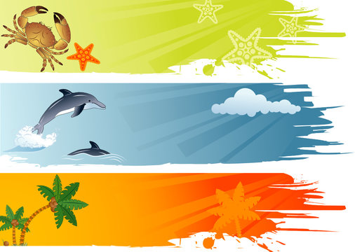 Three summer banner with palm tree, coconut, dolphin...
