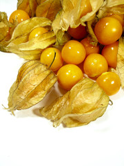 Physalis fruits