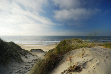 sand dunes and ocean