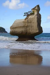 Foto op Aluminium Cathedral Cove-strand © Henner
