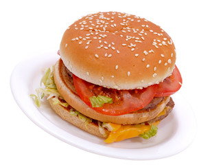 Delicious juicy cheeseburger/hamburger