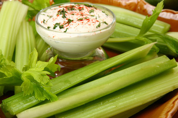 Celery and Dressing