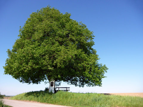 Nachdenken