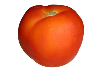 red tomato