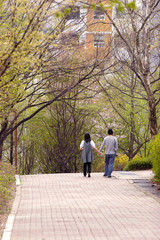 Fototapeta na wymiar A romantic walk in the park.