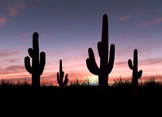 Cactus - 7576597