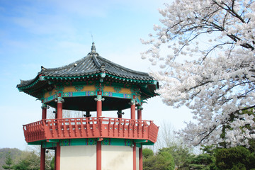 A Korean pavilion next to a blossoming tree in Korea.
