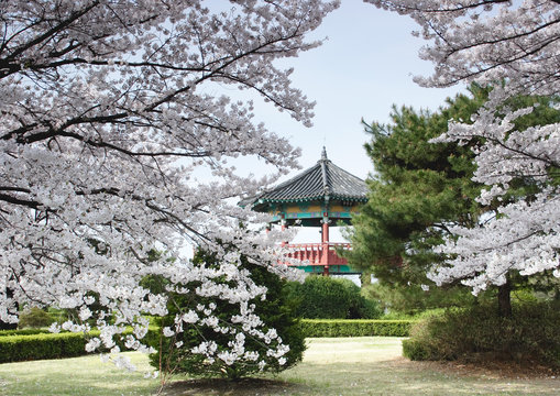 A Korean pavillion behind the trees.