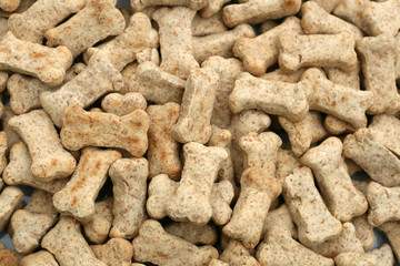 Dog Biscuits