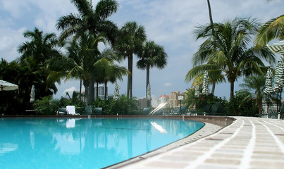 Fototapeta na wymiar Elegant Tropical Outdoor Swimming Pool, Palm Beach