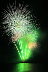green dandelion fireworks