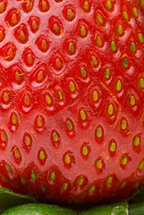 Close-up of single ripe red strawberry, with leaves and seeds
