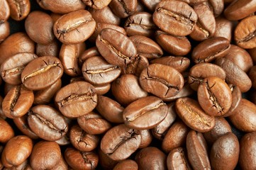 Fototapeta premium Coffee beans