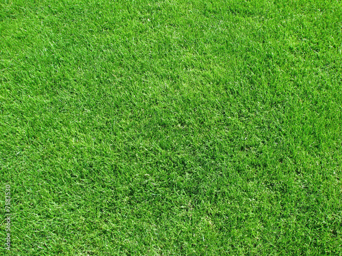 "Rasenfläche" Stockfotos und lizenzfreie Bilder auf Fotolia.com - Bild