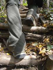 Wandern über Stock und Stein