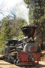 Naklejka premium Locomotive Vertical