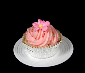 Pretty Pink Cupcake