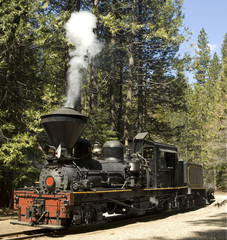 Naklejka premium Steam Locomotive