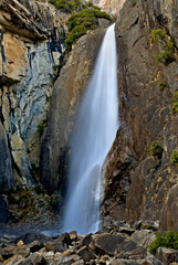 Obraz premium Lower Yosemite Falls