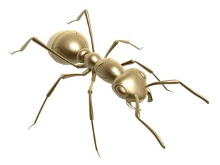 golden ant