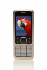 Fototapete bei efototapeten.de bestellen   