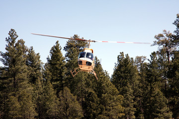 helicopter in forest