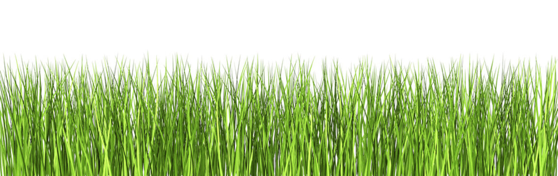 Gras Freisteller
