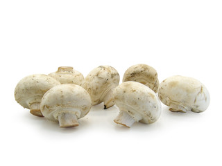 Champignons