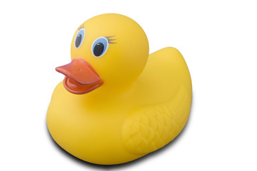 This is a stock photograph of A rubber duck