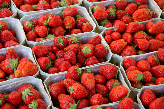Erdbeeren frisch vom Markt