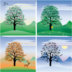 tree through the four seasons