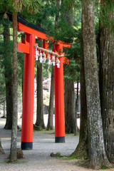 Japanese torii in Koyasan