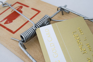 Credit Card in Mouse Trap